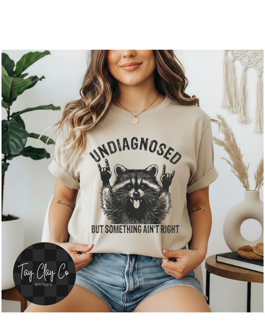 UNDIAGNOSED BUT SOMETHING AINT RIGHT