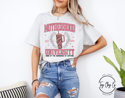 Motherhood University